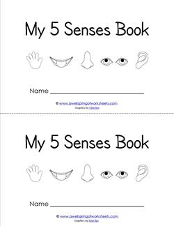my five senses book - senses