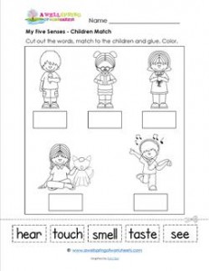 my five senses a matching page kindergarten science