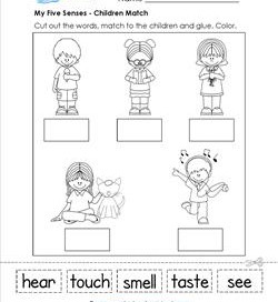 my five senses - children match