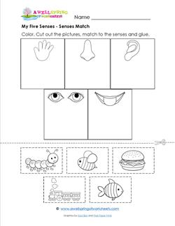 my five senses matching worksheet kindergarten science