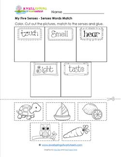 my five senses worksheet for kindergarten 5 senses unit