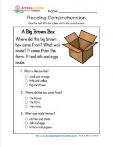 Reading for Kindergarten - A Big Brown Box. Three multiple choice questions.