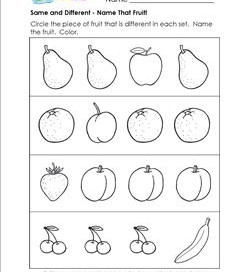 Same and Different - Name that Fruit