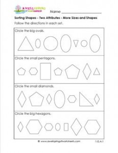 Sorting Shapes - Two Attributes - More Sizes and Shapes