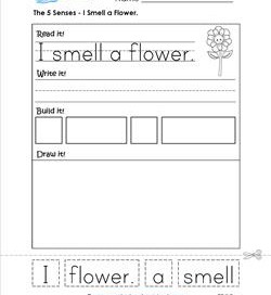 the 5 senses- i smell a flower