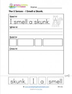the 5 senses - i smell a skunk
