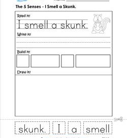 the 5 senses - i smell a skunk