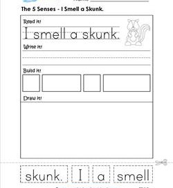 the 5 senses - i smell a skunk