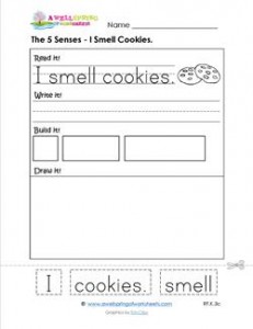 the 5 senses - i smell cookies