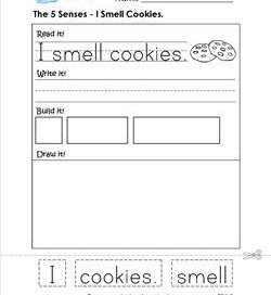 the 5 senses - i smell cookies