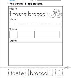 the 5 senses - i taste broccoli