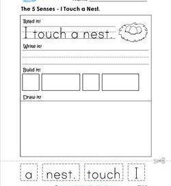 the 5 senses - i touch a nest