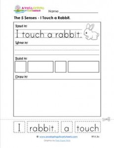 the 5 senses - i touch a rabbit