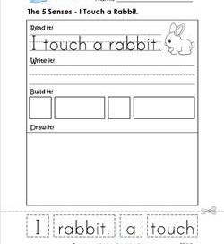 the 5 senses - i touch a rabbit