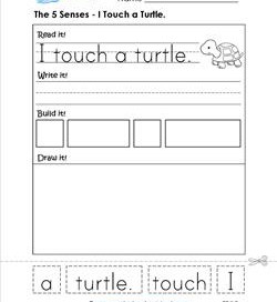 the 5 senses - i touch a turtle