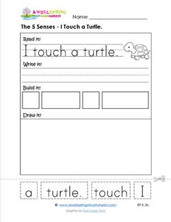 the 5 senses - i touch a turtle