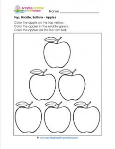 Top, Middle, Bottom - Apples - Positional Words