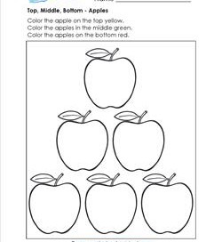 Top, Middle, Bottom - Apples - Positional Words