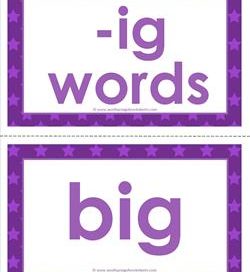 cvc word cards -ig words - ig word family - cvc words