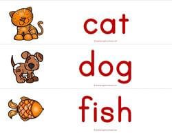 Print Awareness - How Many Letters - Animals Sorting